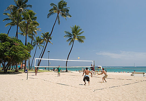 人,玩,排球,海滩,夏威夷