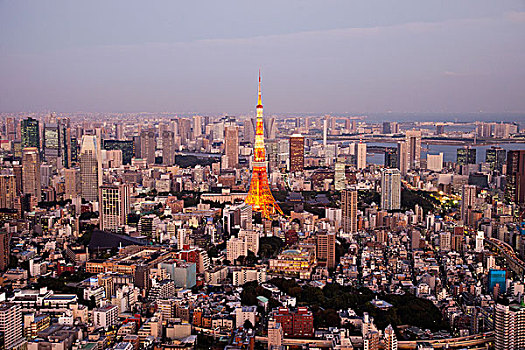 日本,东京,东京塔,城市天际线,景色,塔