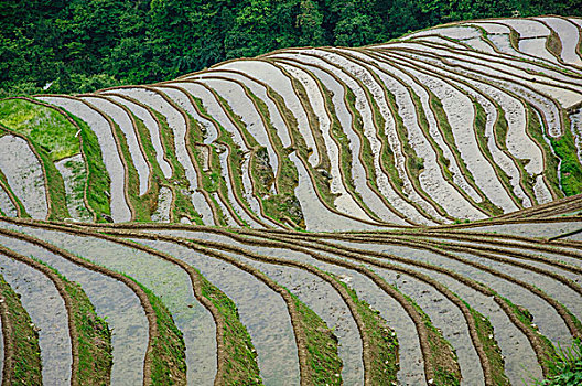 桂林梯田风光