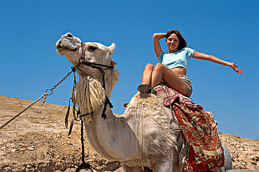 以色列,女青年,骑,骆驼