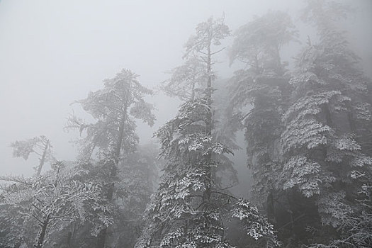 成都西岭雪山