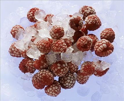 冰冻,树莓,冰