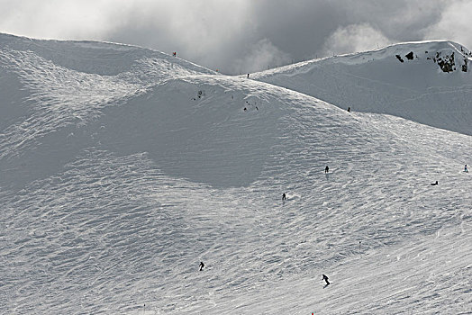 滑雪,雪,山,惠斯勒,不列颠哥伦比亚省,加拿大