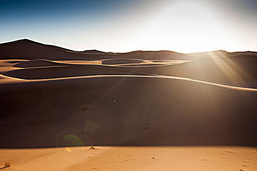 逆光,撒哈拉沙漠