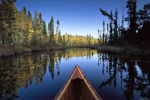 独木舟,船首,秋天,树,发现,湖,国家森林,明尼苏达