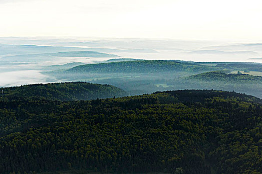 晨雾,树林,多瑙河,山谷,航拍