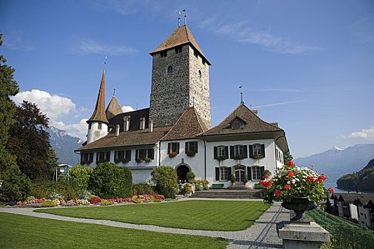 城堡,湖,伯恩高地,瑞士
