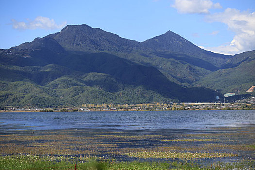 丽江,拉市海湿地