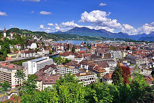 风景,卢塞恩市,琉森湖,背影,瑞士,欧洲