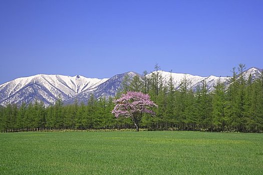 平原,山脉