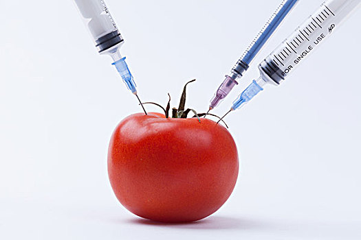 西红柿与注射器