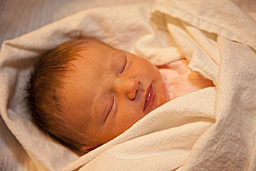 睡觉,婴儿,白人,毯子,艾伯塔省,加拿大
