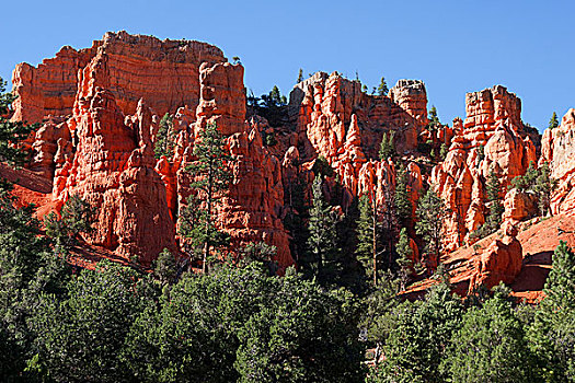 岩石构造,腐蚀,红色,峡谷,犹他,美国,北美