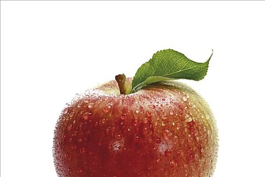 红苹果,遮盖,水滴,叶子,特写