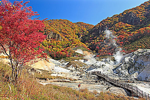 秋叶,温泉