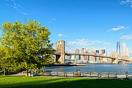 市区,曼哈顿,天际线,布鲁克林大桥,自由,塔,纽约,美国