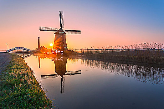 风车,反射,运河,框架,草,粉红天空,黎明,北荷兰,荷兰