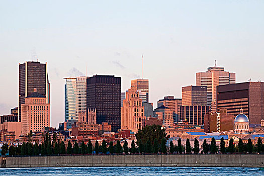 天际线,风景,蒙特利尔,魁北克,加拿大