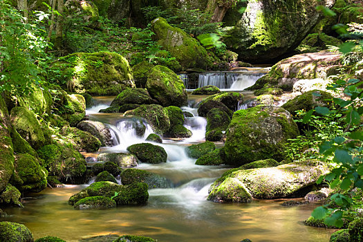 山川,树林