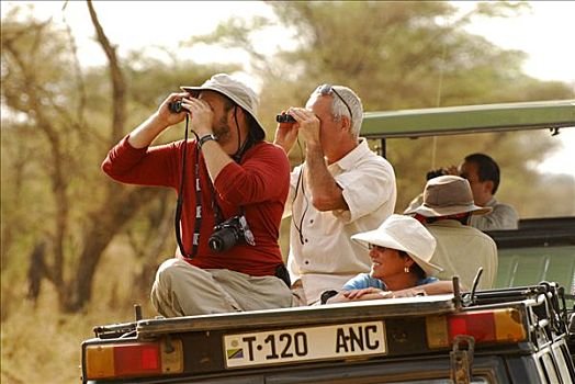 游客,看,塞伦盖蒂国家公园,坦桑尼亚,非洲