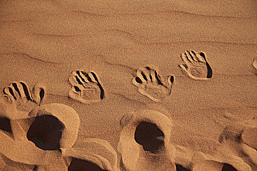 手印,沙子,纳米比诺克陆夫国家公园,纳米布沙漠,索苏维来地区,死亡谷,非洲