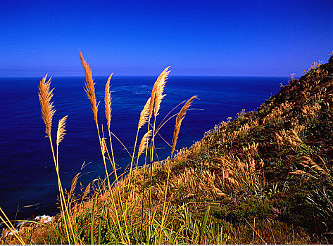 雷因格海角,人行道,塔斯曼海