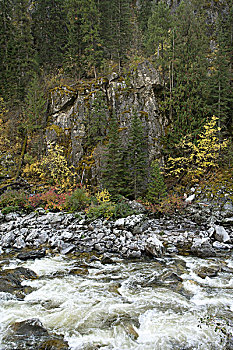 河,岩石,地形,树林,蒙大拿,美国