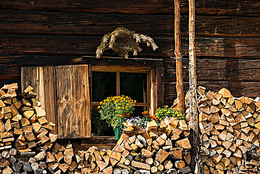 萨尔茨堡州,阿尔卑斯小屋,木柴