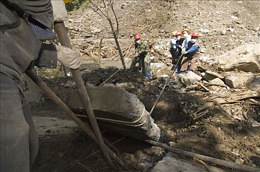大熊猫,围挡,工人,五月,2008年,地震,卧龙