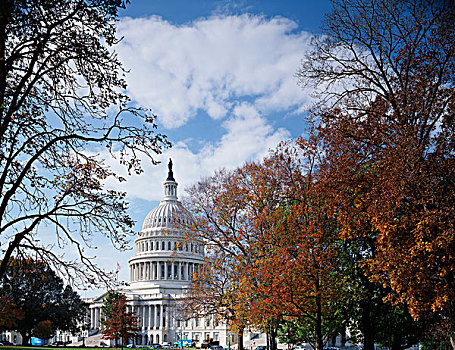 美国,华盛顿特区,国会大厦,秋天,树,大幅,尺寸