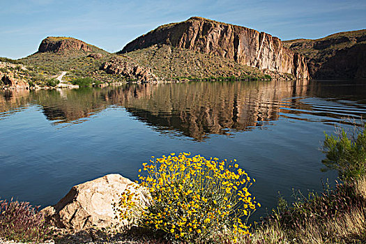 美国,亚利桑那,国家森林,峡谷,湖,花