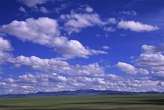 蒙古,戈壁沙漠,靠近,草地,草原,风景,积云