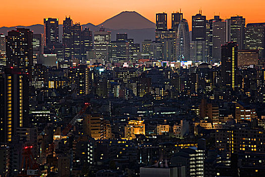 风景,清晰,冬天,黎明,山,独特,顶峰,上升,摩天大楼,城市,新宿,东京,日本