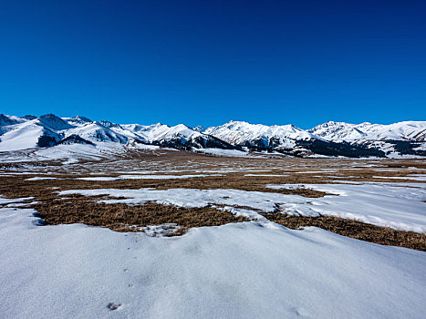 天山草原的雪