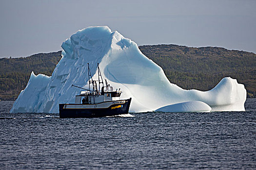 渔船,冰山,靠近,岸边,城镇,岛屿,纽芬兰,拉布拉多犬,加拿大