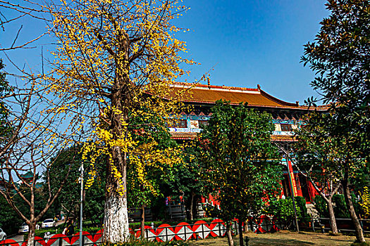 湖南长沙古开福寺－佛殿,钟鼓楼,古银杏,佛塔