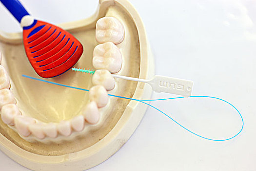 舌头,清洁,牙线