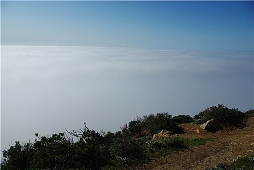 雾,太平洋,加利福尼亚