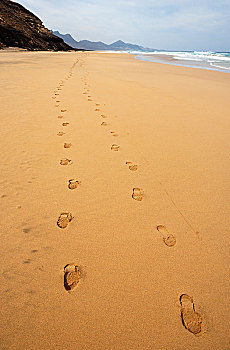沙滩,脚印,海滩,北海岸,富埃特文图拉岛,加纳利群岛,西班牙,欧洲