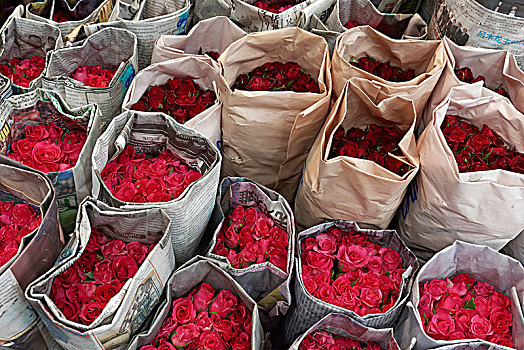 玫瑰,包装,报纸,出售,花市,曼谷,泰国,亚洲