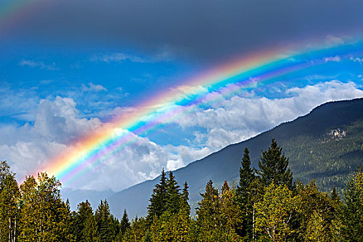 彩色,彩虹,天空,山腰,乌云,蓝天,背景,不列颠哥伦比亚省,加拿大