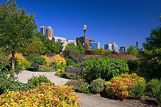 花园,波特兰,水岸,俄勒冈,美国