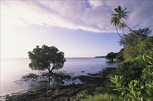 新加勒多尼亚