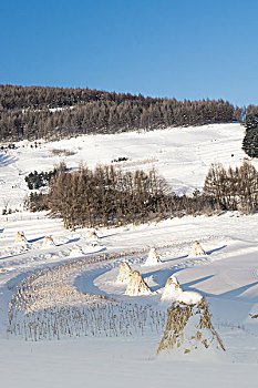 雪地,树林,村庄,雪村