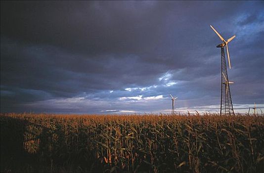 再生能源,风公园,风能,风轮机,玉米地,风暴,天气,靠近,不莱梅,德国,欧洲