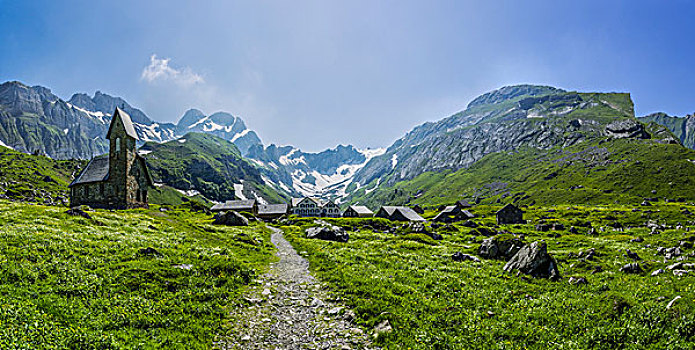 小路,山地牧场,山脉,瑞士,欧洲