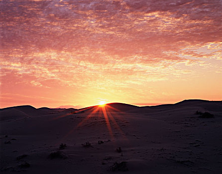 加利福尼亚,沙丘,日出,上方,格拉密斯,大幅,尺寸
