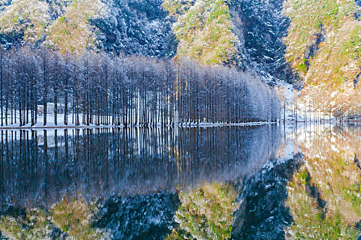 陕西汉中龙池雪景