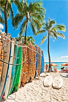 冲浪板,威基基海滩,夏威夷