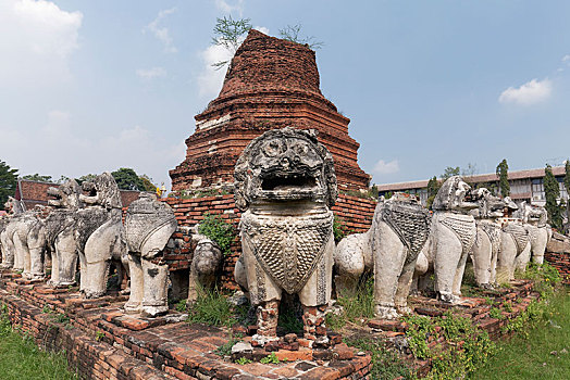 狮子,塑像,契迪,寺院,大城府,历史,公园,泰国,亚洲